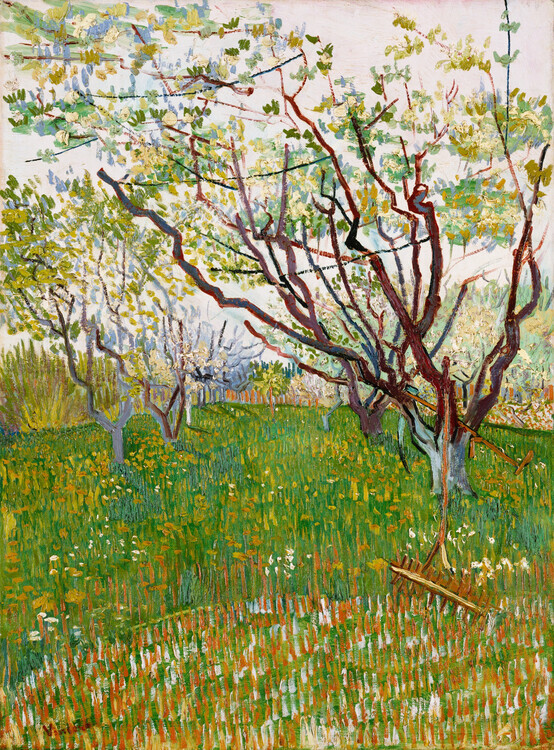 Vincent van Gogh Plakát, Obraz - The Flowering Orchard (1888), Vincent van Gogh, 30 × 40 cm