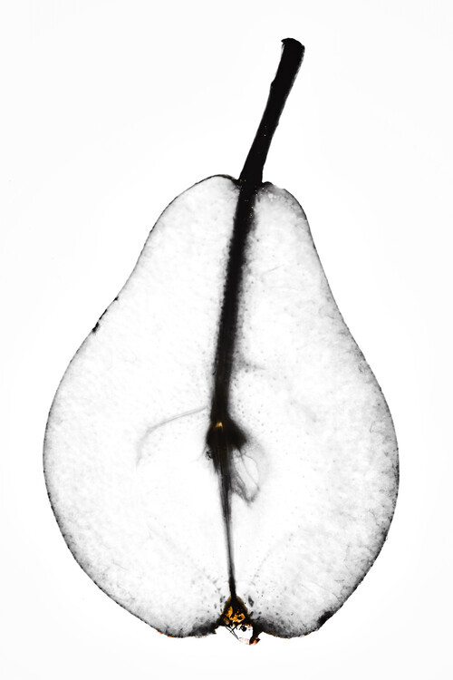 Magda Izzard Plakát, Obraz - Pear, Magda Izzard, 26.7 × 40 cm