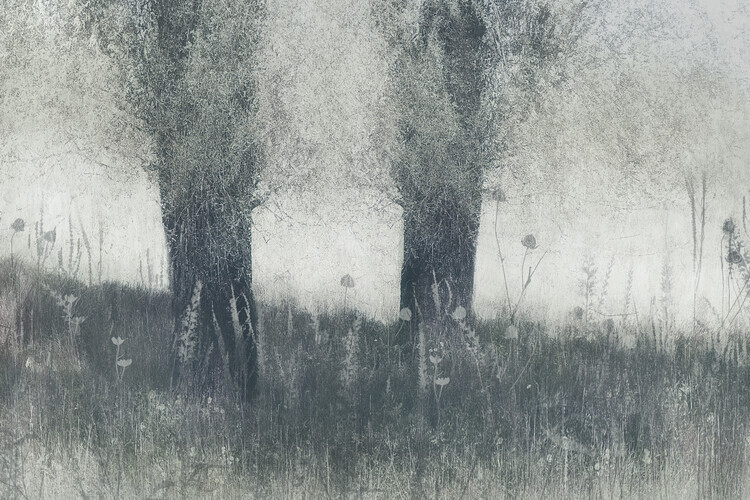 Nel Talen Plakát, Obraz - Memories, Nel Talen, 40 × 26.7 cm