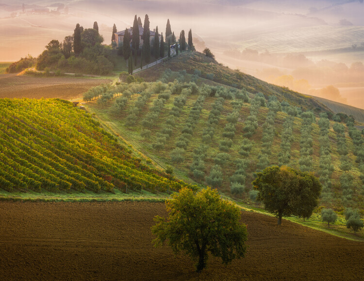 Adrian Popan Plakát, Obraz - Tuscany, Adrian Popan, 40 × 30 cm