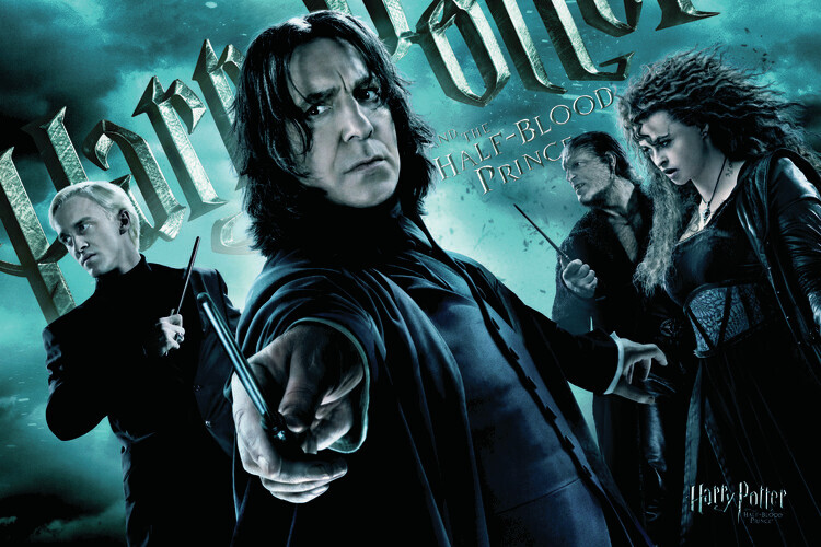 Europosters Plakát, Obraz - Harry Potter - Followers of Voldemort, 40 × 26.7 cm