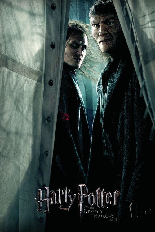 Europosters Plakát, Obraz - Harry Potter - Snatchers, 26.7 × 40 cm
