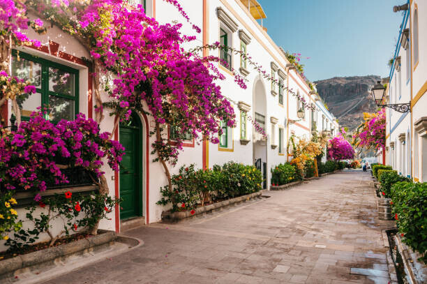 MarioGuti Plakát, Obraz - Street in Mogán, Gran Canaria, Spain, MarioGuti, 40 × 26.7 cm