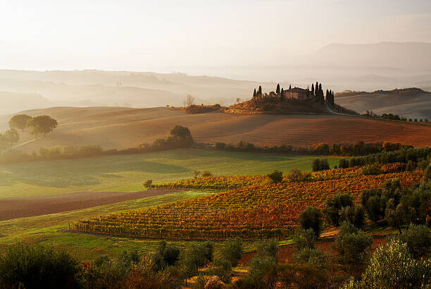 Gary Yeowell Plakát, Obraz - View across Tuscan landscape., Gary Yeowell, 40 × 26.7 cm
