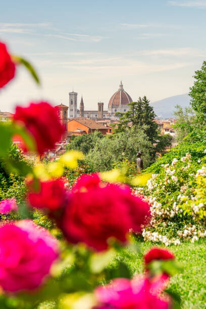 Francesco Riccardo Iacomino Plakát, Obraz - Florence, Tuscany, Italy. Roses and cityscape, Francesco Riccardo Iacomino, 26.7 × 40 cm