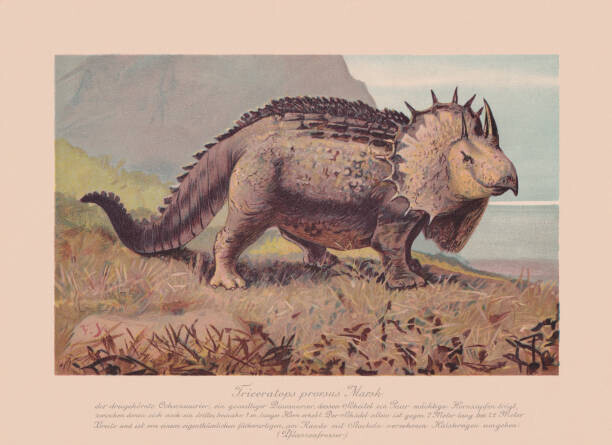 ZU_09 Plakát, Obraz - Triceratops prorsus, chromolithograph, published in 1900, ZU_09, 40 × 30 cm