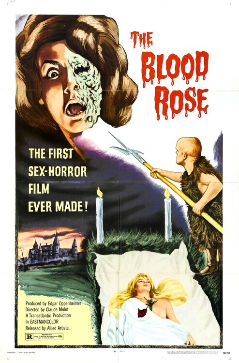 Europosters Plakát, Obraz - Blood Rose, 26.7 × 40 cm