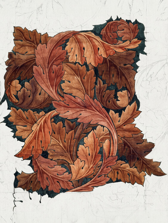 William Morris Plakát, Obraz - Acanthus 1879, William Morris, 30 × 40 cm