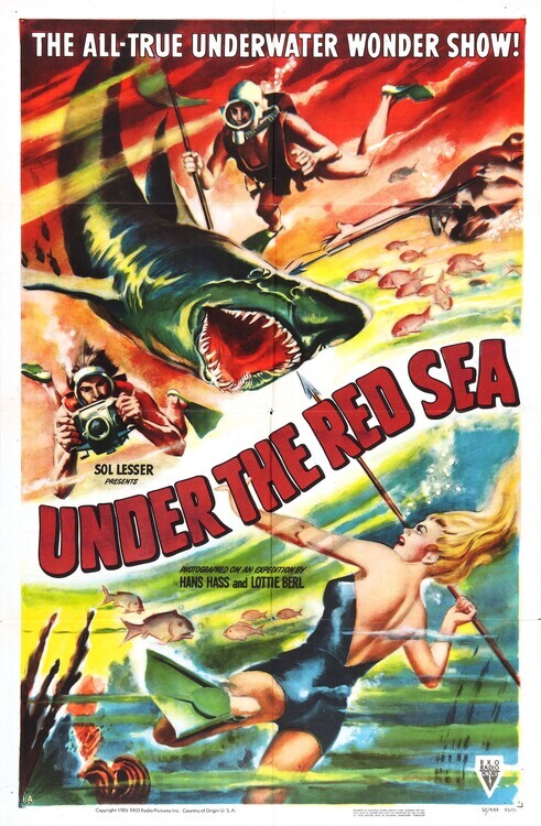 Europosters Plakát, Obraz - Under Red Sea, 26.7 × 40 cm