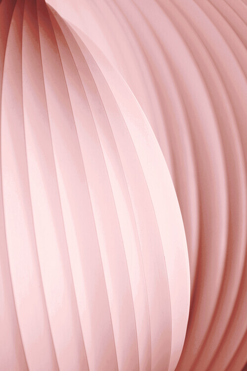 Christina Sillen Plakát, Obraz - Peach Pink, Christina Sillen, 26.7 × 40 cm