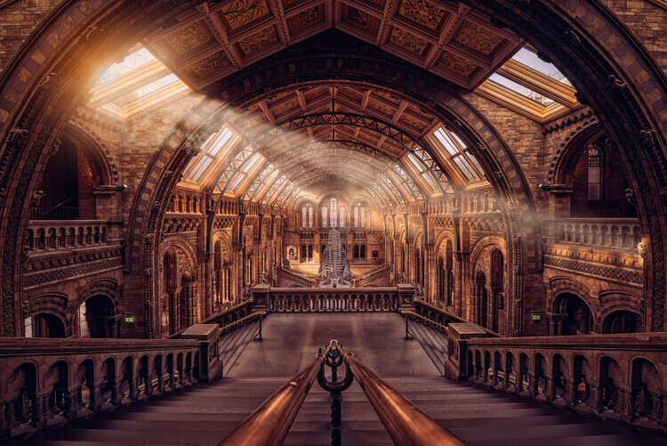 Hernan Calderon Velasco Plakát, Obraz - Natural History Museum - London, Hernan Calderon Velasco, 40 × 26.7 cm