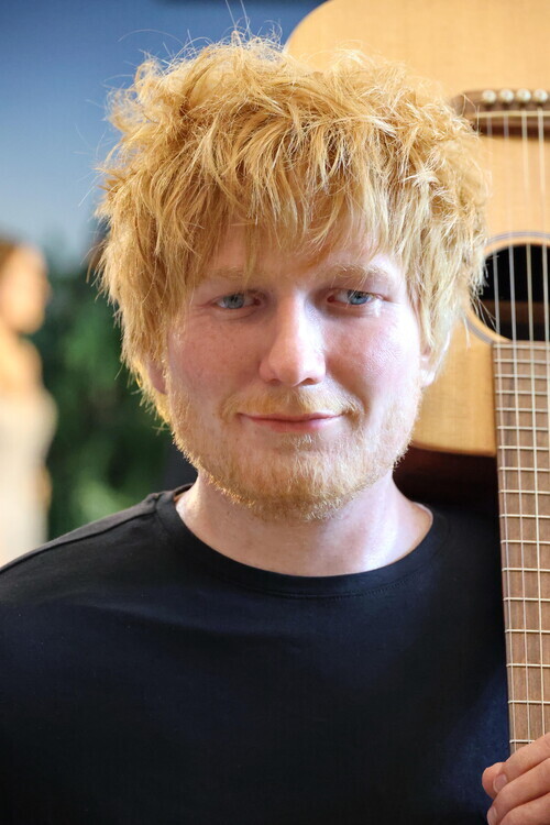 Tristar Media Plakát, Obraz - Ed Sheeran in Hamburg 2023, 26.7 × 40 cm