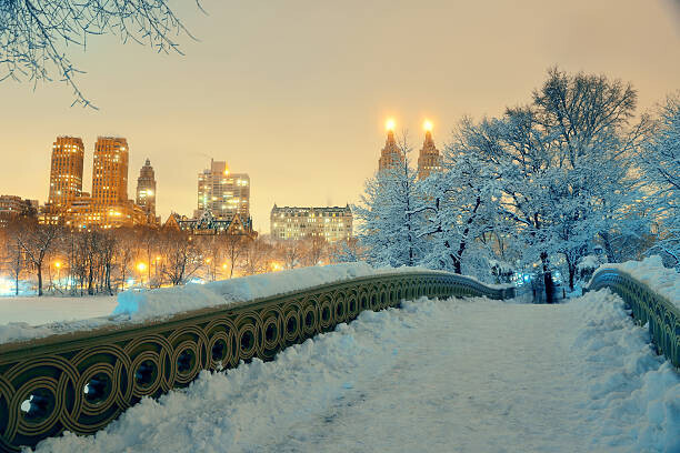 rabbit75_ist Plakát, Obraz - Central Park winter, rabbit75_ist, 40 × 26.7 cm