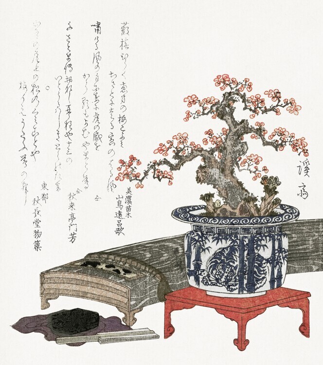 Keisai Eisen Plakát, Obraz - Plum blossom in pot (1830) vintage Japanese print by Keisai Eisen, 35.4 × 40 cm