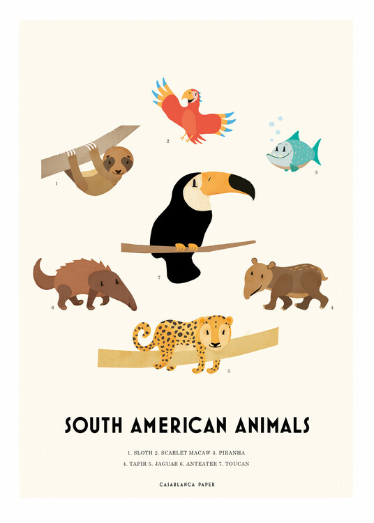 Erik Wintzell Plakát, Obraz - South American Animals, Erik Wintzell, 30 × 40 cm