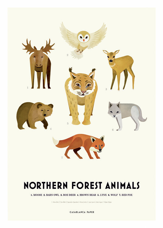 Erik Wintzell Plakát, Obraz - Northern Forest Animals, Erik Wintzell, 30 × 40 cm