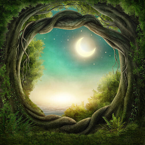 egal Plakát, Obraz - Enchanted dark forest, egal, 40 × 40 cm