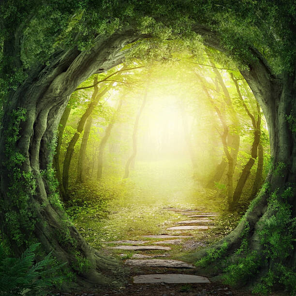egal Plakát, Obraz - Stone road in magic forest leads to haze of light, egal, 40 × 40 cm