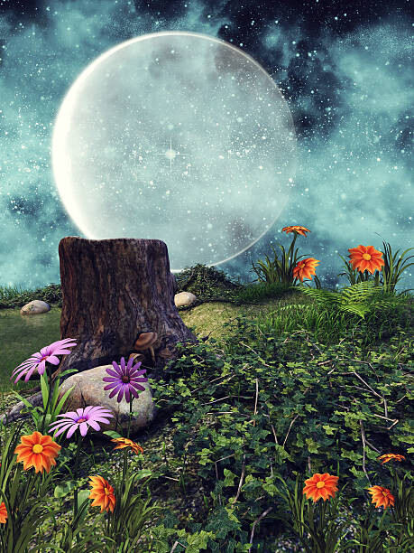 FairytaleDesign Plakát, Obraz - Night meadow with flowers, FairytaleDesign, 30 × 40 cm