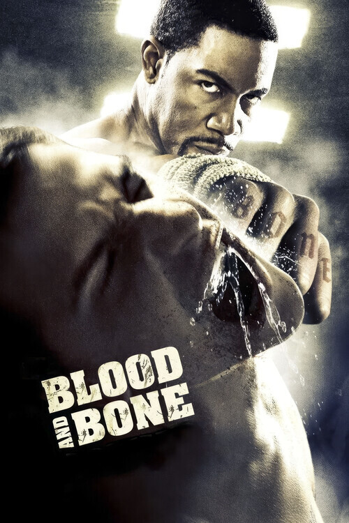 Europosters Plakát, Obraz - Blood and Bone (2009), 26.7 × 40 cm