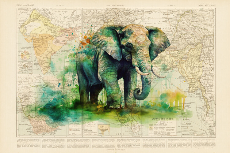 Thomas Chedeville Plakát, Obraz - Elephant, Thomas Chedeville, 40 × 26.7 cm