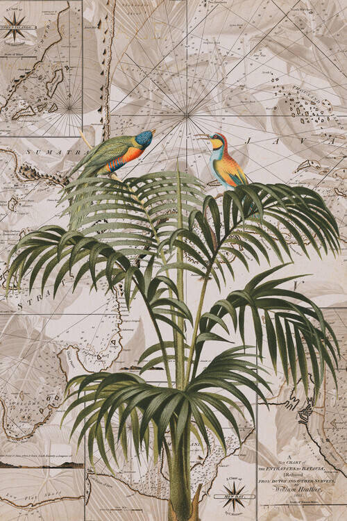 Andrea Haase Plakát, Obraz - Indonesia Jungle Paradise No3, Andrea Haase, 26.7 × 40 cm