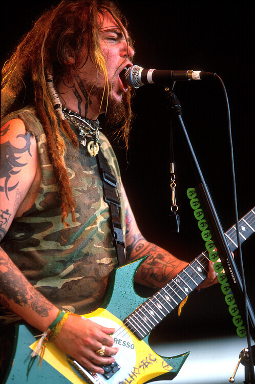 Martin Philbey Plakát, Obraz - Soulfly, 26.7 × 40 cm