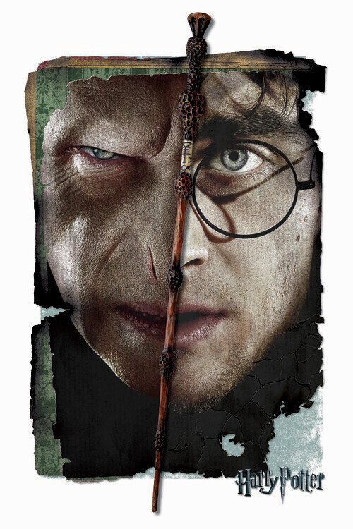 Europosters Plakát, Obraz - Harry Potter vs Voldemort, 26.7 × 40 cm