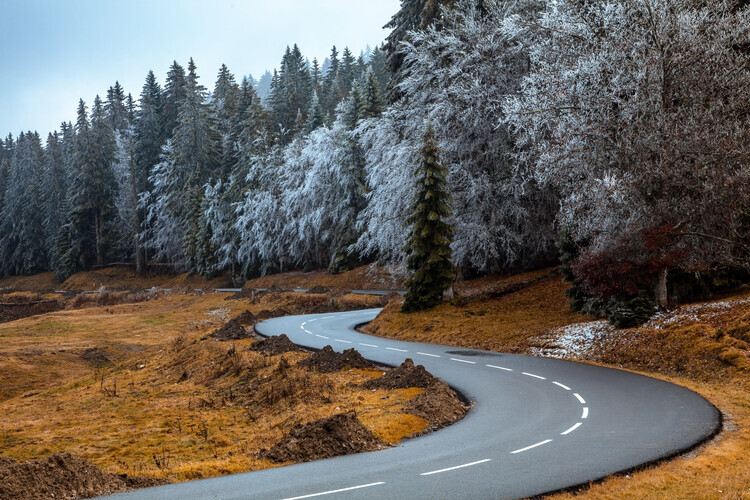 Visions Paralleles Plakát, Obraz - The road and the frozen trees, Visions Paralleles, 40 × 26.7 cm