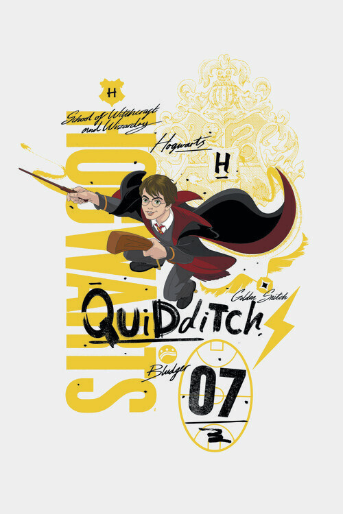 Europosters Plakát, Obraz - Harry Potter - Quidditch 07, 26.7 × 40 cm