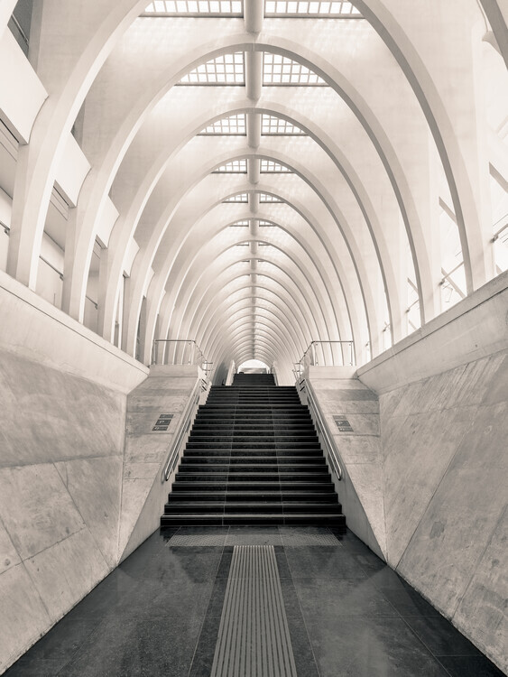 Oscar Lopez Plakát, Obraz - Inside Calatrava, Oscar Lopez, 30 × 40 cm