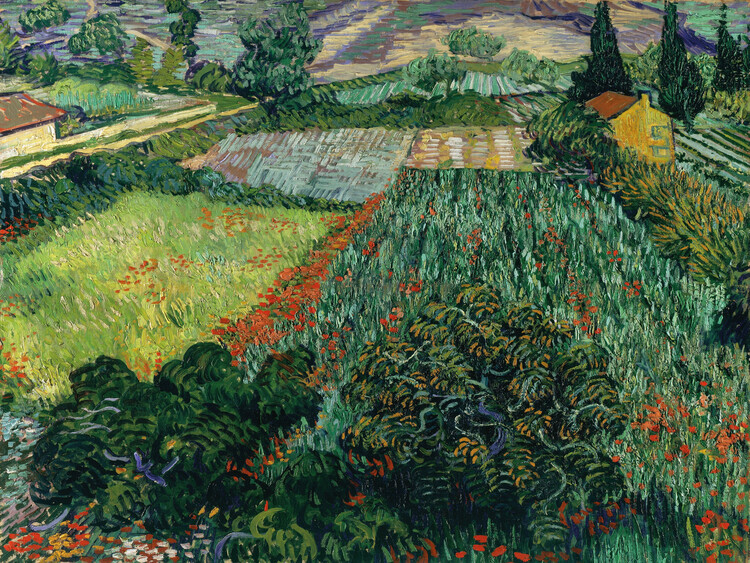 Vincent van Gogh Plakát, Obraz - Field with Poppies, Vincent van Gogh, 40 × 30 cm
