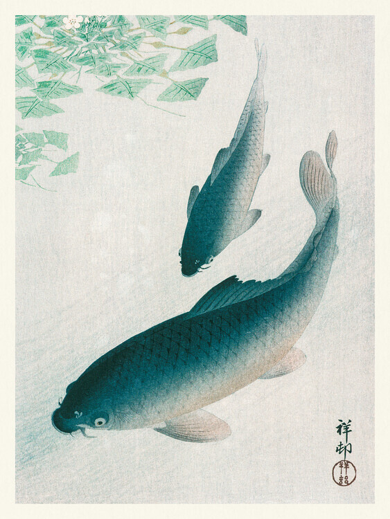 Ohara Koson Plakát, Obraz - Two Carp Fish, Ohara Koson, 30 × 40 cm