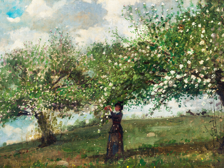 Winslow Homer Plakát, Obraz - Girl Picking Apple Blossoms, Winslow Homer, 40 × 30 cm