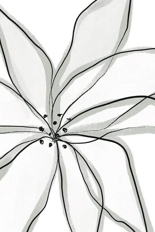 uplusmestudio Plakát, Obraz - Fragile Flower, uplusmestudio, 26.7 × 40 cm