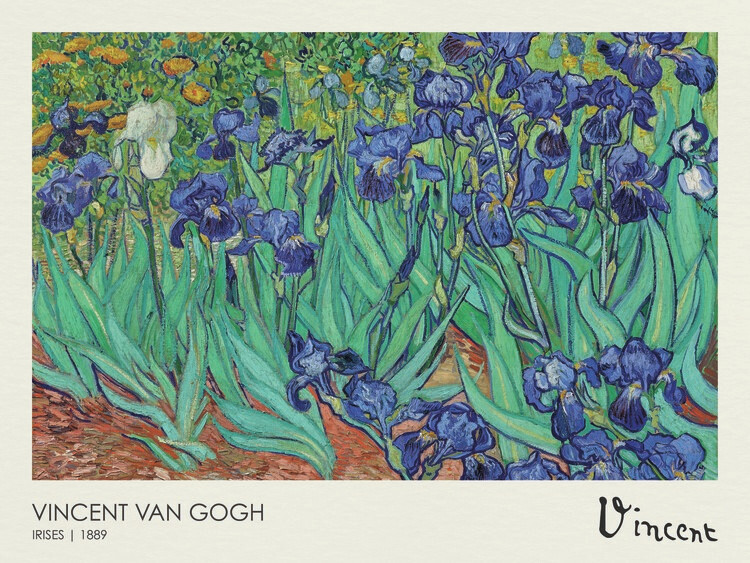 Vincent van Gogh Plakát, Obraz - Irises (1889), Vincent van Gogh, 40 × 30 cm