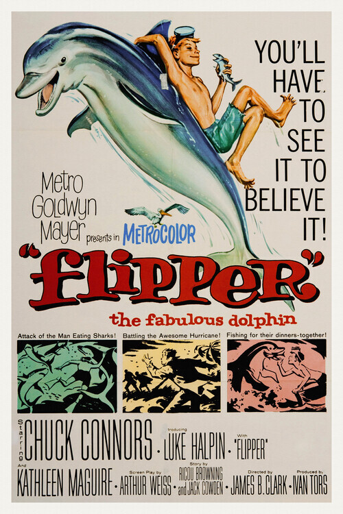 Europosters Plakát, Obraz - Flipper, The Fabulous Dolphin, 26.7 × 40 cm