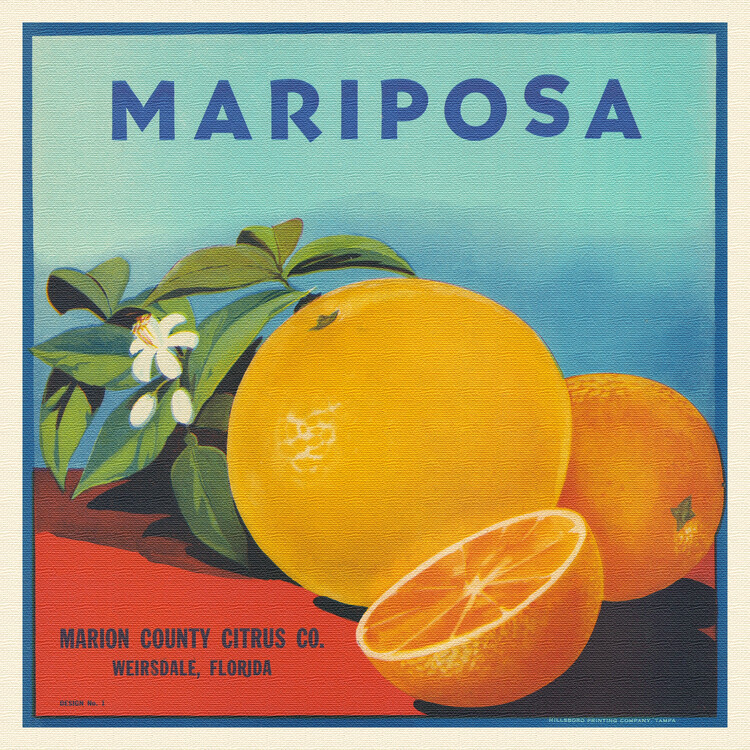 Florida Crate Labels Plakát, Obraz - Mariposa Brand Citrus, Florida Crate Labels, 40 × 40 cm