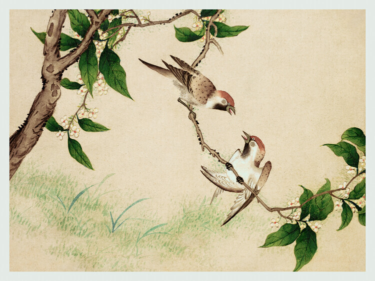 Zhang Ruoai Plakát, Obraz - Gossiping Sparrows, Zhang Ruoai, 40 × 30 cm