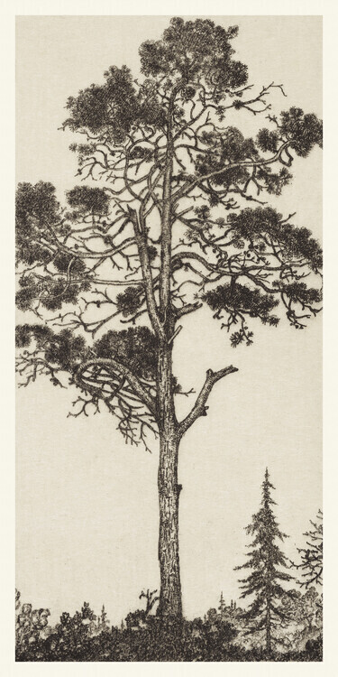 Ernest Haskel Plakát, Obraz - The Little Pitch Pine, Ernest Haskel, 20 × 40 cm