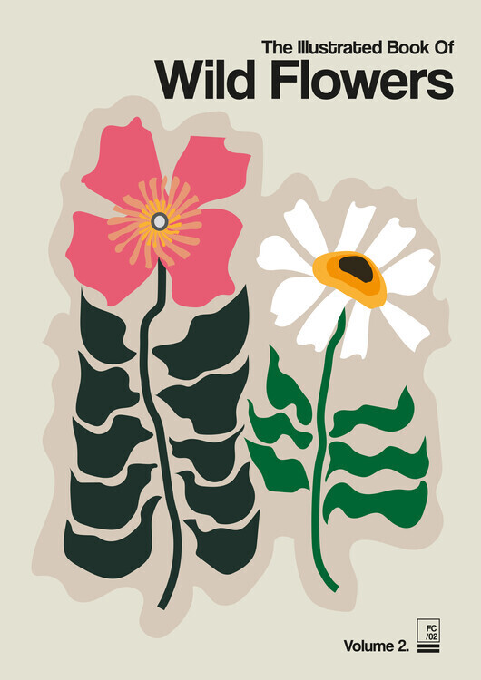 Frances Collett Plakát, Obraz - The Illustrated Book Of Wild Flowers Vol.2 Grey, Frances Collett, 30 × 40 cm
