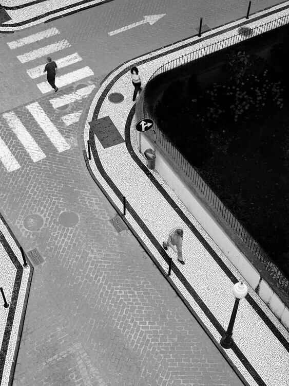 Paulo Abrantes Plakát, Obraz - Go Anywhere, Paulo Abrantes, 30 × 40 cm
