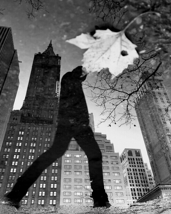 Ivan Lesica Plakát, Obraz - NY Reflections, Ivan Lesica, 30 × 40 cm