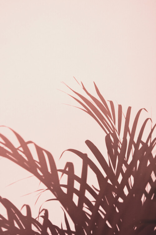 Studio III Plakát, Obraz - Palm leaves_2, Studio III, 26.7 × 40 cm