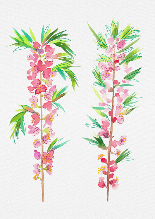 Kata Botanical Plakát, Obraz - Dwarf Russian almond or Prunus tenella botanical painting, Kata Botanical, 30 × 40 cm