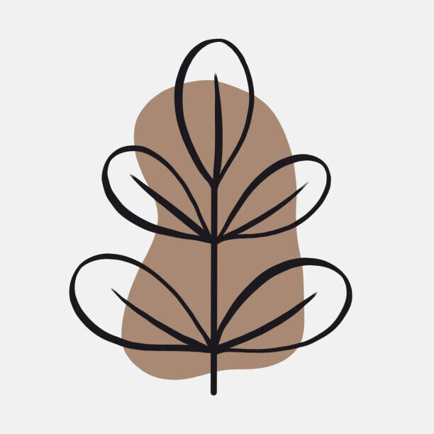 Oksana Khristosenko Plakát, Obraz - Botanical doodle in a modern style, Oksana Khristosenko, 40 × 40 cm