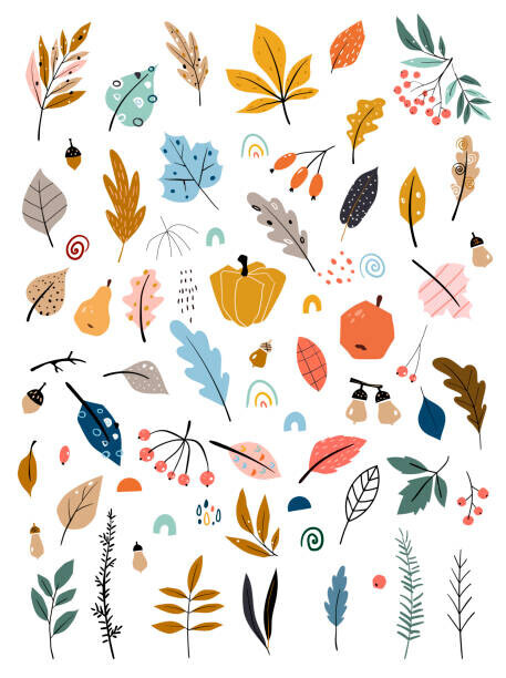 nadyaillyustrator Plakát, Obraz - Children s illustration with hand drawn leaves, vegetables and autumn harvest. Autumn set. Collection of hand drawn fallen leaves, vegetables, berries, acorns, forest mushrooms., nadyaillyustrator, 30 × 40 cm