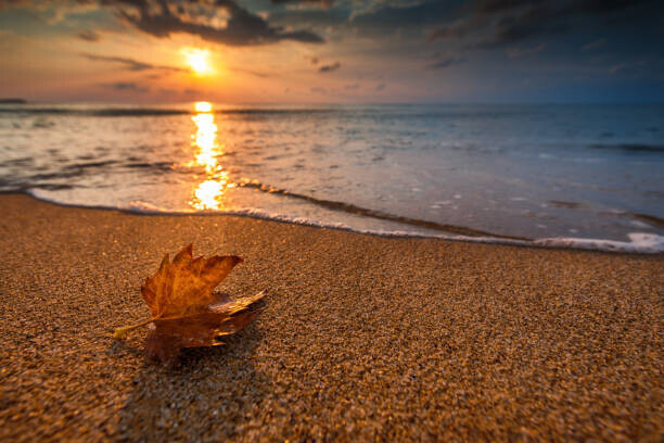valio84sl Plakát, Obraz - Beautiful sunrise over the sea and leaf. Autumn concept., valio84sl, 40 × 26.7 cm