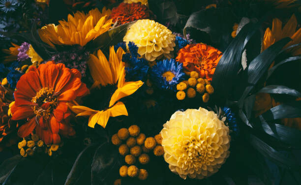 Olga Niekrasova Plakát, Obraz - Dreamy magic autumn flowers., Olga Niekrasova, 40 × 24.6 cm