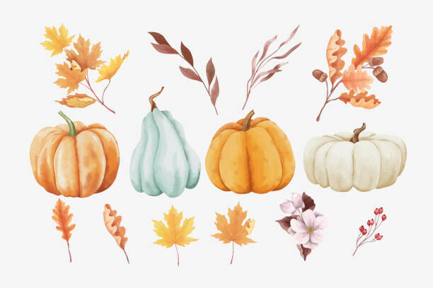 Krit Kongjundee Plakát, Obraz - Watercolor Autumn Elements, Krit Kongjundee, 40 × 26.7 cm